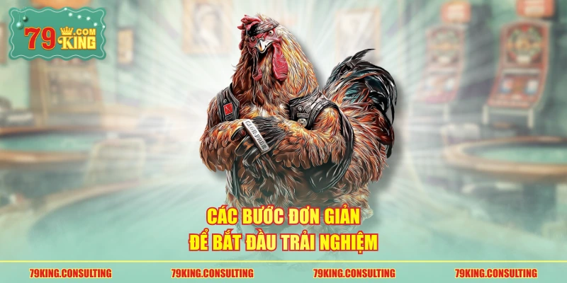 Các bước đơn giản để bắt đầu trải nghiệm
